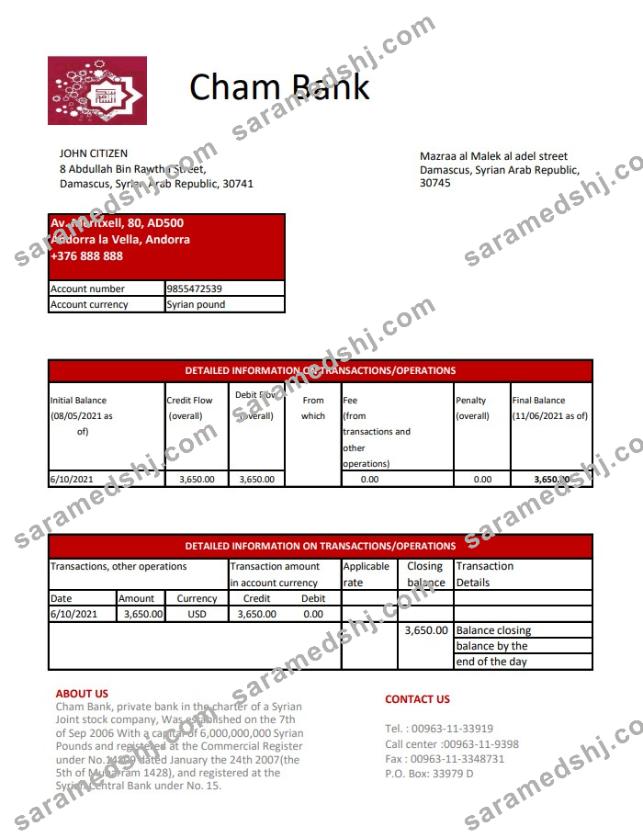 Syria Cham Bank excel pdf